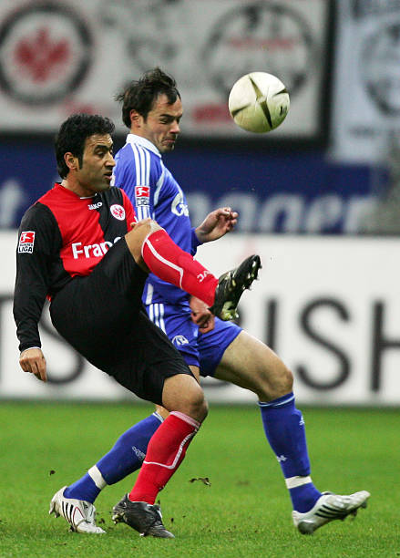 军李雯雯的 军李雯雯的