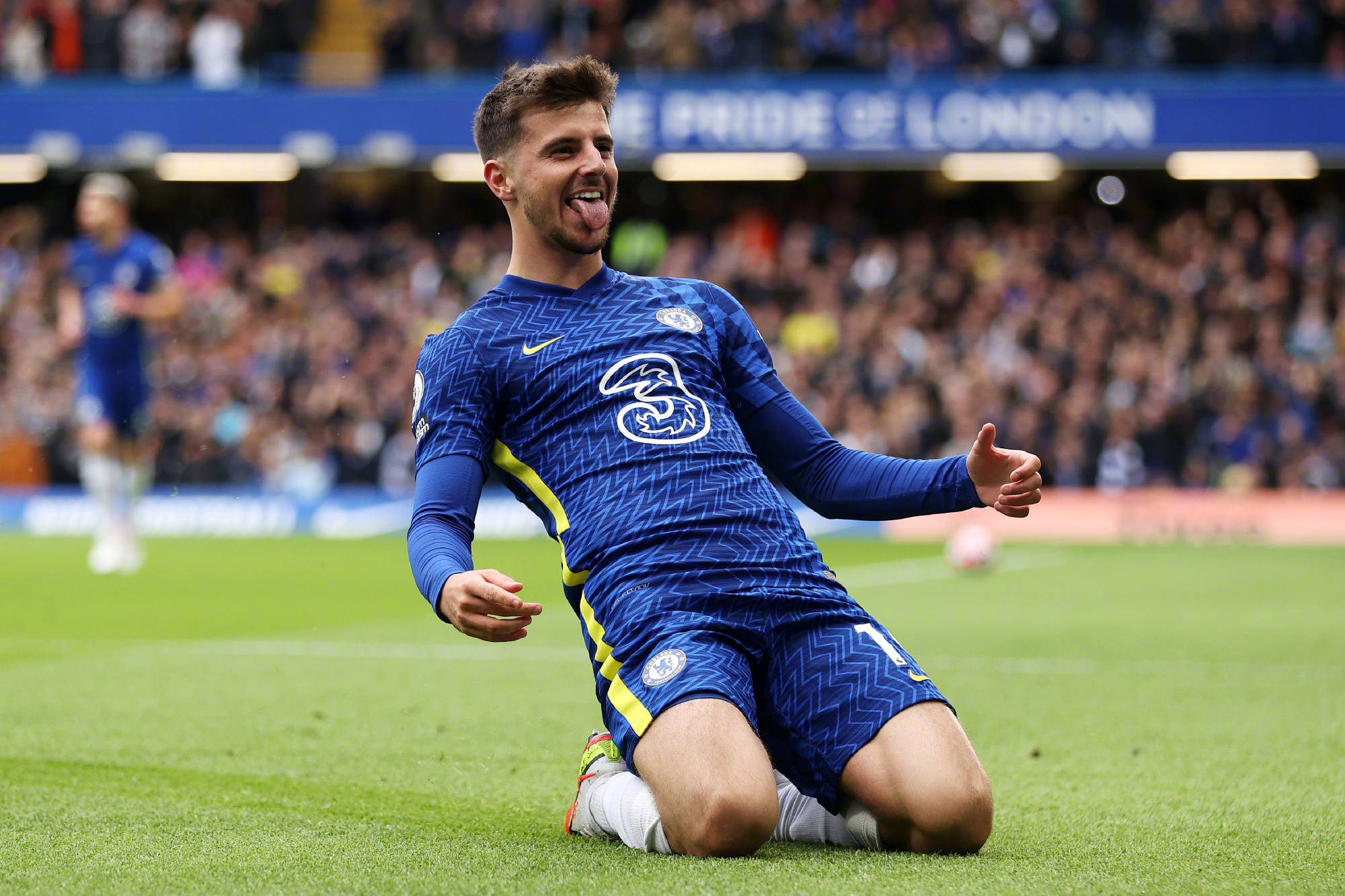 识了这位西 识了这位西